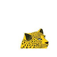 Locarno76 Sticker by Locarno Film Festival