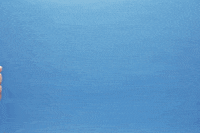 Celebrate Ice Cream GIF by bubly