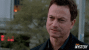 New York Drama GIF by ION Mystery