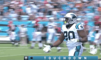 carolina panthers football GIF by NFL