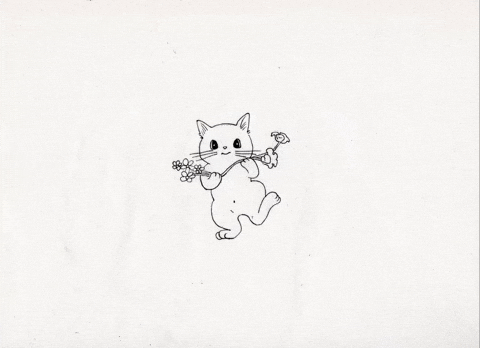 Cat Loop GIF by Qianhui_yuu