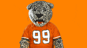La Verne Thumbs Up GIF by UniversityofLaVerne