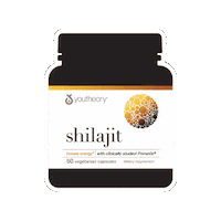 Happy Fun Sticker by youtheory