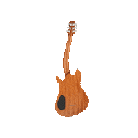 theguitarmaster the guitar master framus framus guitars diablo ii supreme Sticker