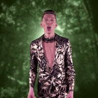 Ich Bin Ein Star Holt Mich Hier Raus Scream GIF by RTLde