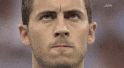 Euro 2016 Belgium GIF by Sporza