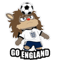World Cup Football Sticker
