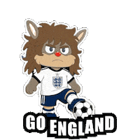 Fifa World Cup Football Sticker