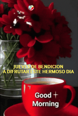 Dia Flores GIF by Murcianys LLC