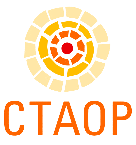 ctaop youth south africa leadership charlize theron Sticker