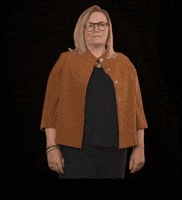 fdpfraktionlsa fdplsa fdpfraktionlsa tarricone ktarricone GIF