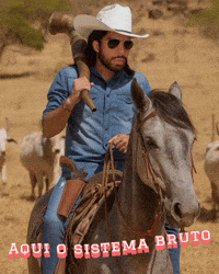 Boi Cantor GIF by Dalvan Ferraz