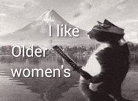 Cat Funny Meme GIF
