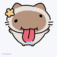 loafikitti happy dance cat party GIF
