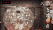 Comedy Hello GIF by STR Network
