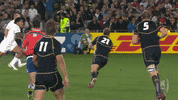World Cup Sport GIF by World Rugby