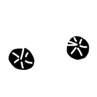 Bike Ride Sticker