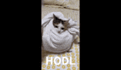 Crypto Wagmi GIF by OKX