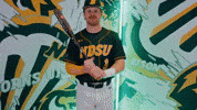 Baseball Bison GIF by NDSU Athletics