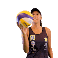Volleyball Sticker by Praia Clube