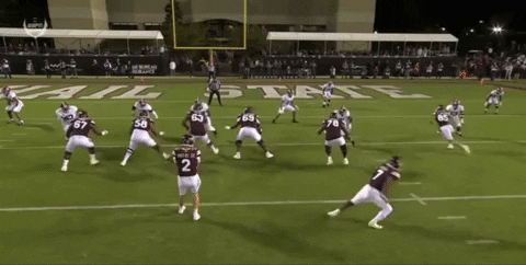 tsco1035 giphyupload GIF