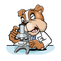 Scientist Microscope Sticker by Inglés Americano EAS