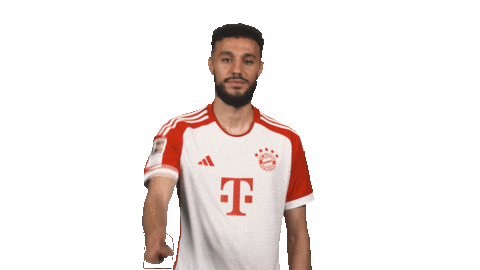 No Way Football Sticker by Bundesliga