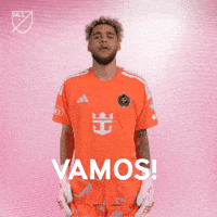 Vamos Lets Go GIF by Major League Soccer