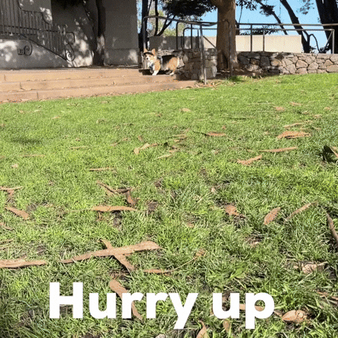 Hurry Up GIF