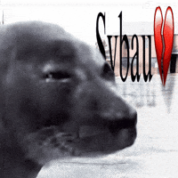 nikotoba meme seal niko sybau GIF