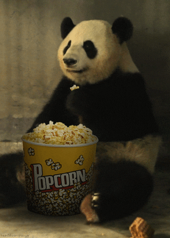 panda eating GIF