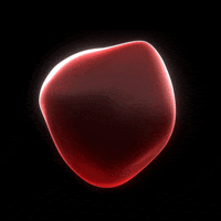 Loop Motion Graphics GIF by xponentialdesign