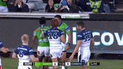 Try Nrl GIF by Canberra Raiders