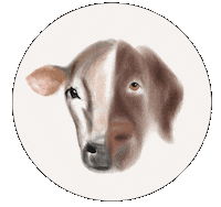 Dog Go Vegan Sticker