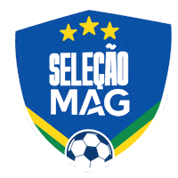Copa Do Mundo Sticker by MAG Seguros