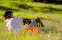 fail give up GIF by The Bachelor Australia