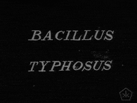 black and white digital humanities GIF by Okkult Motion Pictures