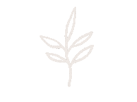 TheKindWay white leaf floral white line Sticker