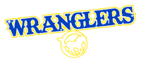 Dallas Cheerleading Sticker by Mustang Cheer