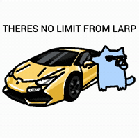 Spainnubcat GIF