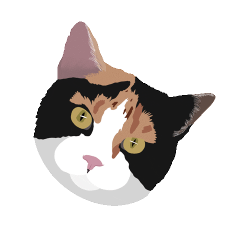 mo4paws giphyupload cat dog cats Sticker