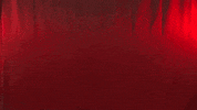 Womens Soccer GIF by Newberry Athletics
