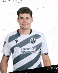 3Liga GIF by SV Sandhausen