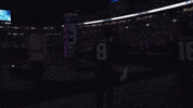 Stefon Diggs Football GIF by New England Patriots