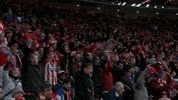 Champions League Football GIF by Atlético de Madrid