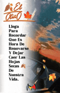 Que Es Hora De GIF by Murcianys LLC