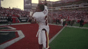 Sean Taylor Nfl GIF