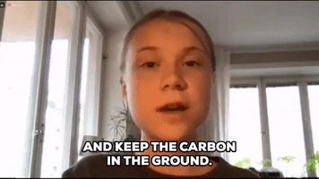 Keep Carbon In The Ground
