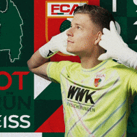 Celebration Bundesliga GIF by FC Augsburg 1907
