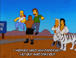 homer simpson episode 10 GIF